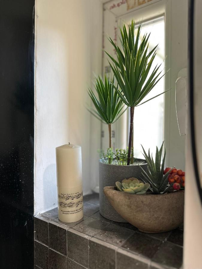 Apartament Zora Kluż-Napoka Zewnętrze zdjęcie